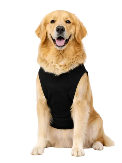 Roupa PET personalizada com a estampa da sua marca, produzida pela Gubo